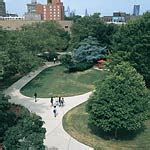 rutgers camden|rutgers camden course catalog.